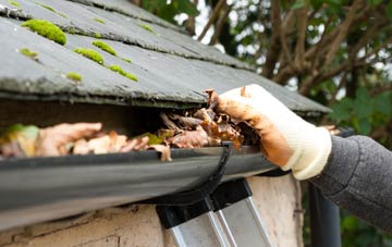 gutter cleaning Ashby Puerorum, Lincolnshire